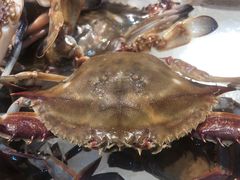 -苏格里岛自助海鲜烤肉(青秀万达店)