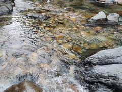 -石台牯牛降景区