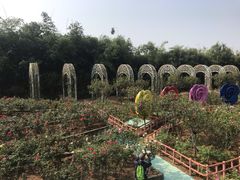 -百万葵园