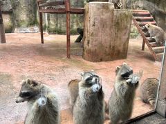 -杭州野生动物世界