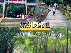 -凤栖山
