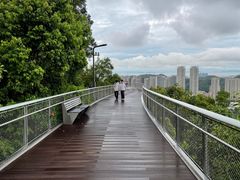 -板樟山森林公园