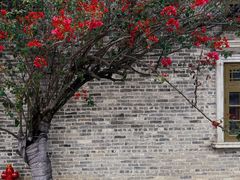 -赤坎·广东华侨国际旅游度假区