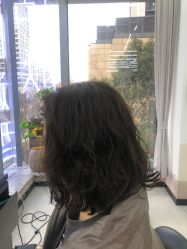 -世田造型