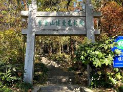 -紫金山山顶公园