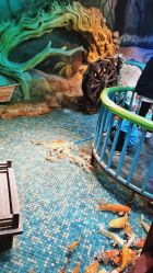 -酷嗒动物文化乐园(cutezoo西溪乐天城店)