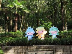 -瑶琳仙境