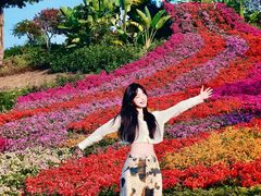 -东莞植物园