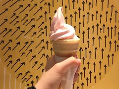 -麦当劳(温州人民路店)