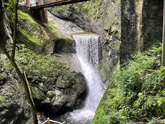 -牛背梁国家森林公园