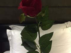 -天鹅恋主题酒店(光谷广场步行街店)