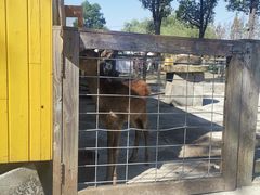 -前小桔亲子创意农场·草莓采摘·露营烧烤