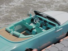 -荷兰花海