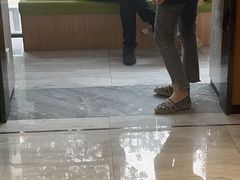 -北京派仕佳德动物医院·超导核磁·CT·神经科·骨科·内外科·急重症管理中心