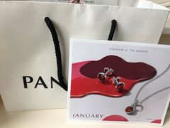 -Pandora潘多拉珠宝(虹口龙之梦店)
