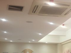 -海丝金凤(金鱼店)