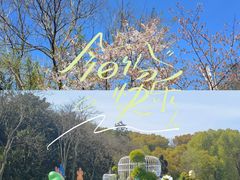 -共青国家森林公园-售票处