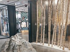 -ARC'TERYX始祖鸟(北京王府中环店)