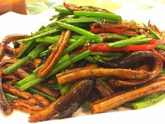 -丁老爷子苏香圆