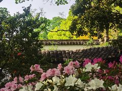 -上海醉白池公园