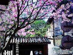 -金必轩(青岩店)