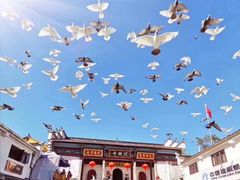-九华山风景区