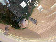 -肆俩肖像STUDIO(宝山万达店)