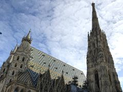-斯蒂芬主教座堂(Stephansdom)