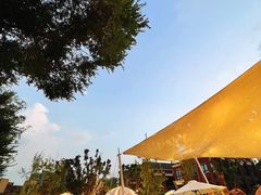 -悦见花开·花园里的火锅·露营·下午茶