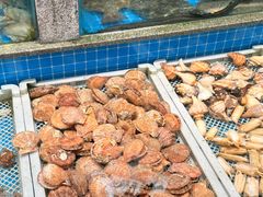 -码头鲜精致威海菜(欧乐坊店)