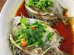 -八仔大富楼·河鲜(西江店)