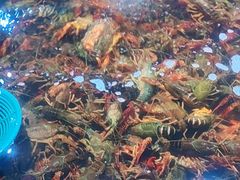 -聚盛源蒸汽海鲜火锅烤肉自助(巨川金海岸购物广场店)