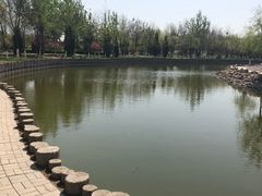 -绿岛公园(滨海新区)