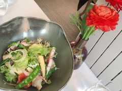 -蝶舍·MAISON PAPILLON