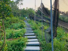 -中山市树木园