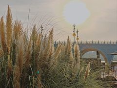 -西安曲江寒窑遗址公园