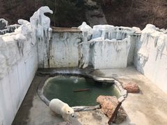 景点-大连森林动物园