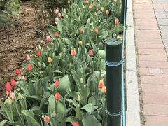 -陕西师范大学(雁塔校区)
