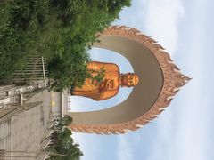 东林大佛-东林大佛