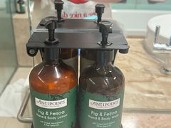 -樟宜机场皇冠假日酒店 （SG Clean） - IHG 旗下酒店