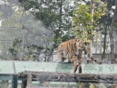 -西霞口神雕山野生动物世界