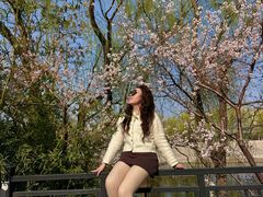 -桃花堤公园