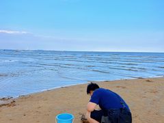 -日照海滨国家森林公园