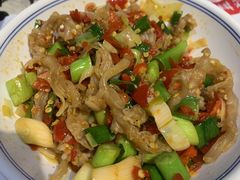 -壹盏灯(惠农店)