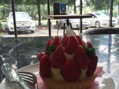 -倾城密码(大唐店)