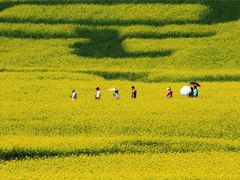 -扁都口生态休闲旅游区