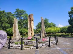 -金钉子远古世界景区