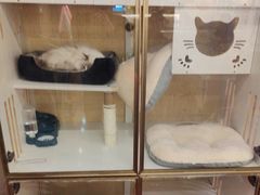 -老炮儿轰趴团建KTV桌游棋牌主题馆(五道口店（底商店))