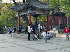 -文瀛公园