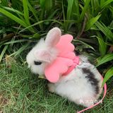 妈妈带本兔兔出来玩啦～ 好开心哦   附带本兔兔几张